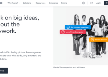 Asana review