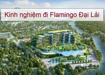 đại lải review