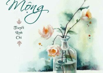 Dấu mộng review