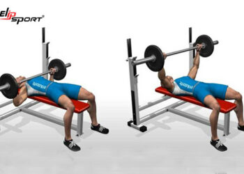 Hướng dẫn các bài tập gym