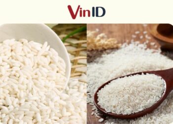 Hướng dẫn cách nấu cháo