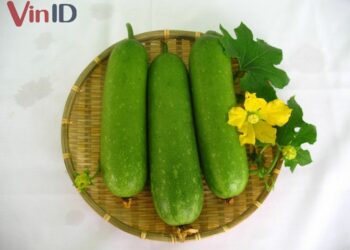 Hướng dẫn cách nấu nước bí đao