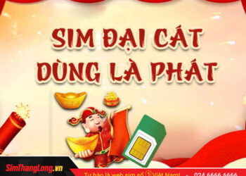 Hướng dẫn chọn sim đại cát