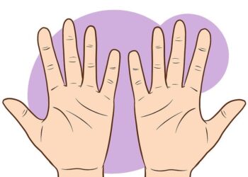 Hướng dẫn coi chỉ tay