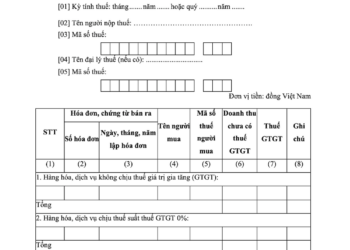 Hướng dẫn điền mẫu 03/dl-hddt