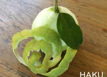 Hướng dẫn làm tinh dầu bưởi