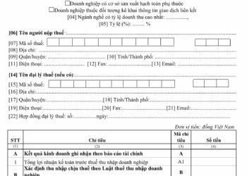 Hướng dẫn lập tờ khai thuế thu nhập doanh nghiệp