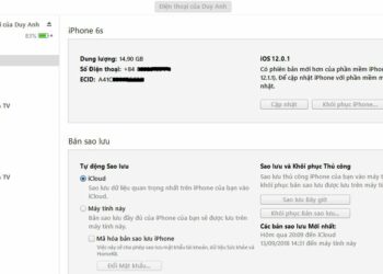 Hướng dẫn lưu shsh