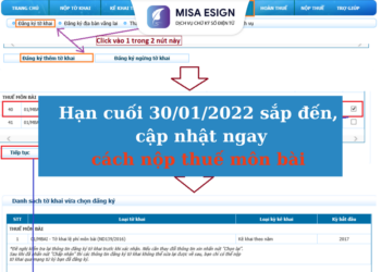 Hướng dẫn nộp thuế môn bài điện tử 2021