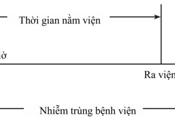 Hướng dẫn phòng ngừa chuẩn