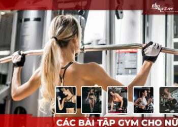 Hướng dẫn tập gym cho nữ