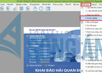 Hướng dẫn truyền tờ khai hải quan điện tử