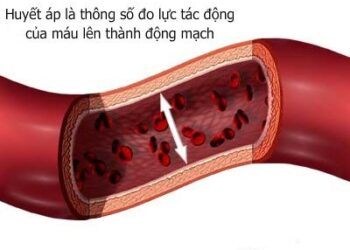Hướng dẫn xem chỉ số huyết áp