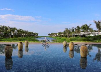 Melia hồ tràm review