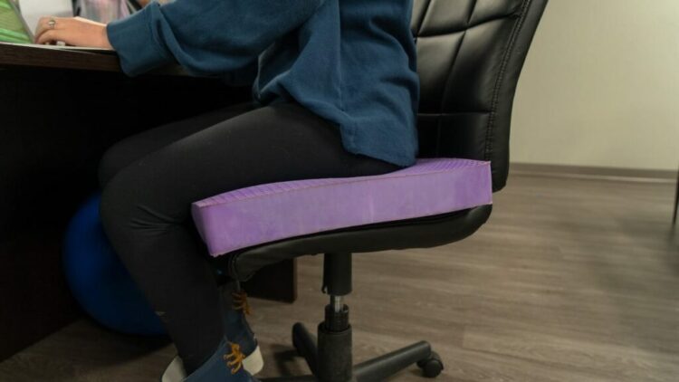 Purple chair cushion review