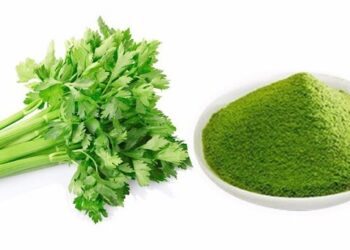 Review bột cần tây giảm cân