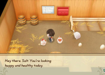 Story of seasons friends of mineral town hướng dẫn