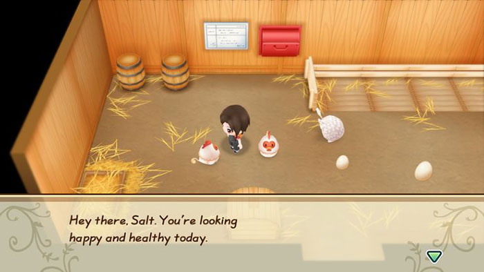 Story of seasons friends of mineral town hướng dẫn